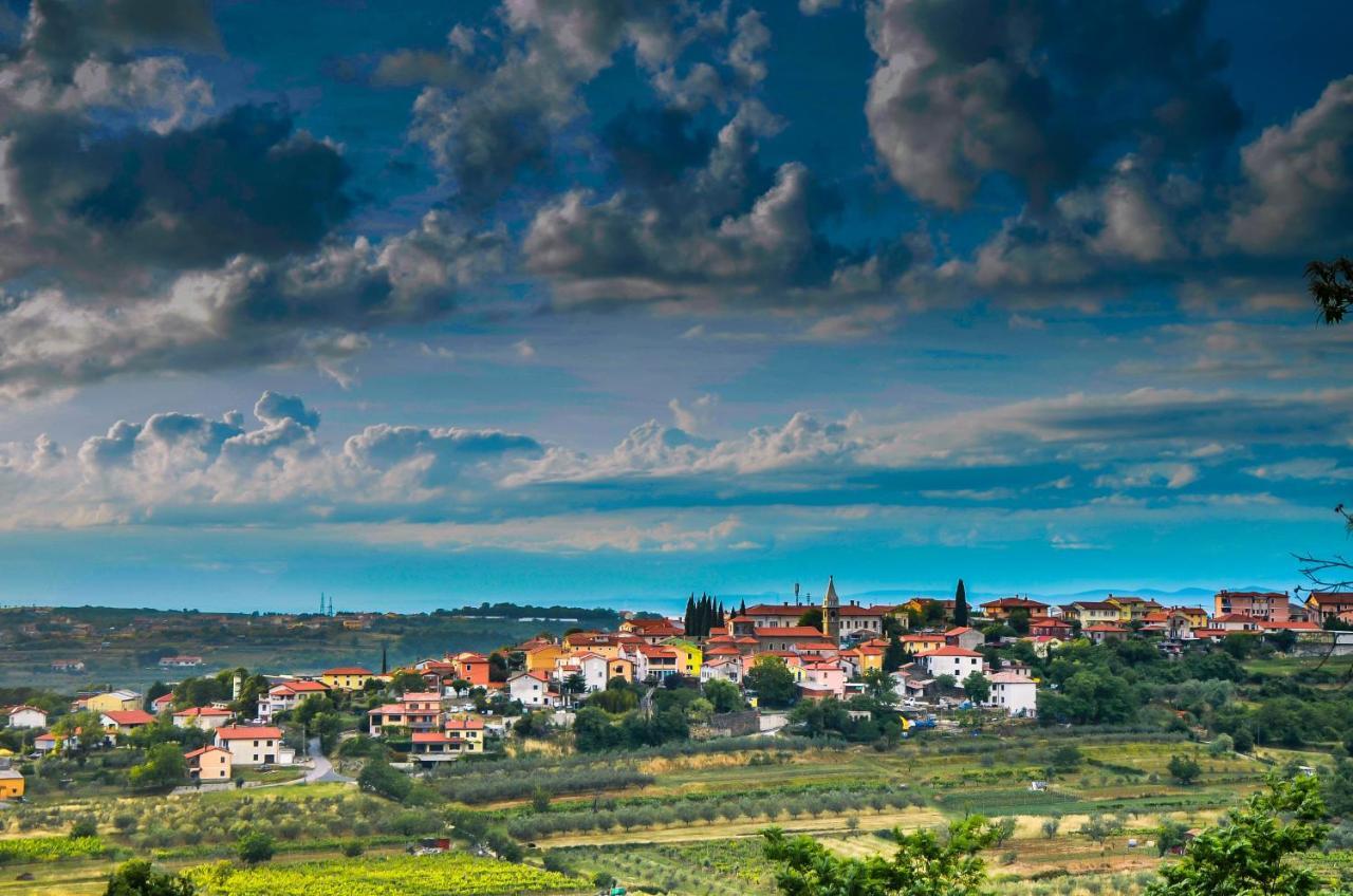 Wine & Apartment Vinales コペル エクステリア 写真