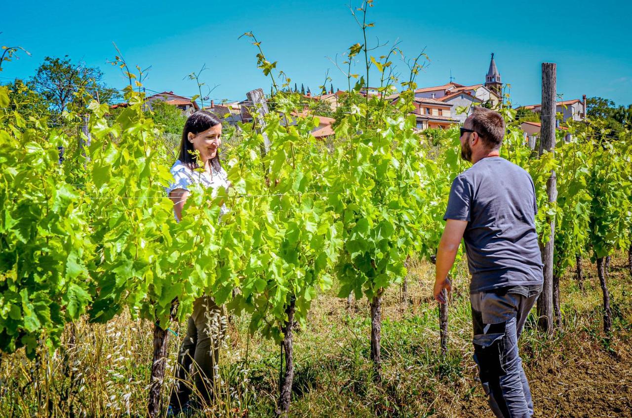 Wine & Apartment Vinales コペル エクステリア 写真
